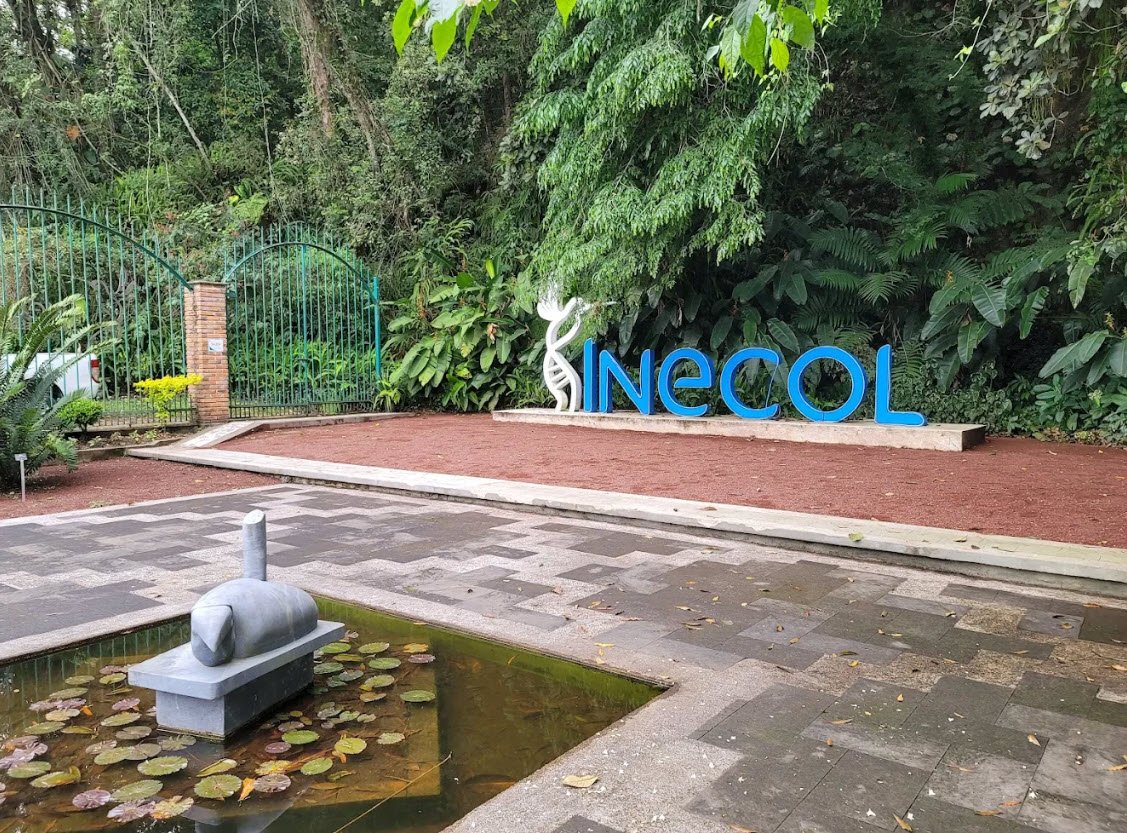 Francisco Javier Clavijero Botanical Garden, Mexico